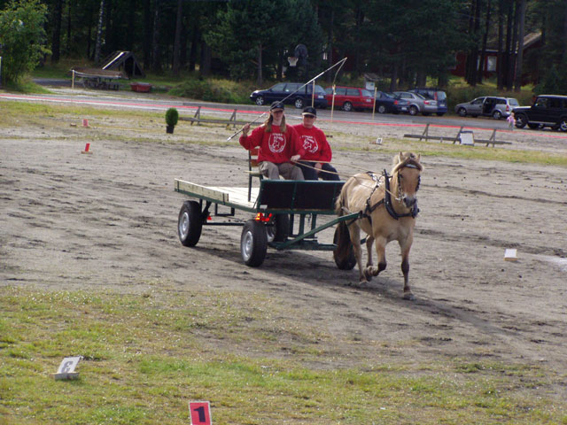 Nordisk Mesterskab i brugskørsel med hest og vogn